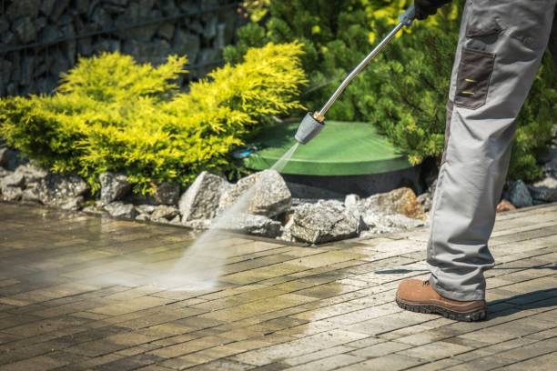 Best Pre-Holiday Cleaning  in Indian River Estates, FL